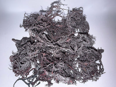 Raw Purple Saint Lucian Seamoss