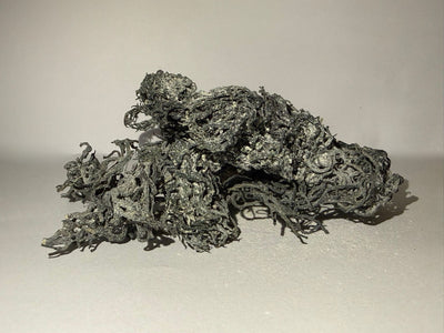 Raw Green Saint Lucian Seamoss